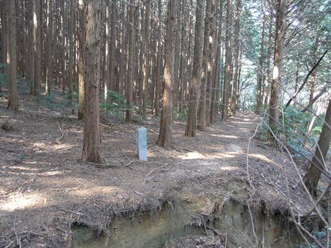 ���y�Ó��i�c�����g���W�j