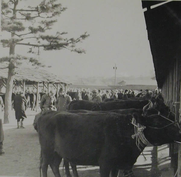 ���a(���傤��)22�N(�˂�)�ȍ~(������)�̉ƒ{�s��(������������)�i����(���񂴂�)�̕�����ٕt��(�Ԃ񂩂�������ӂ���)�j