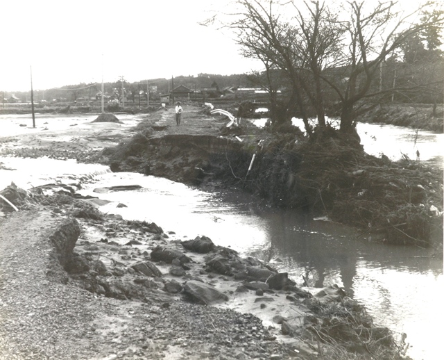 ��(�Ȃ�)�̐�(����)�̔×�(�͂���)�ɂ���Q��(�Ђ������傤���傤)