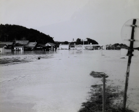 ����(�ނ�����)�̔×�(�͂���)�ɂ��썇��(���킢���傤)�̔�Q(�Ђ���)